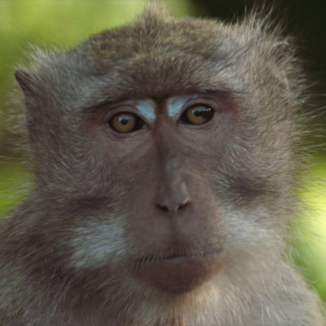 location | nusa dua restaurants | seafood | italian | family friendly