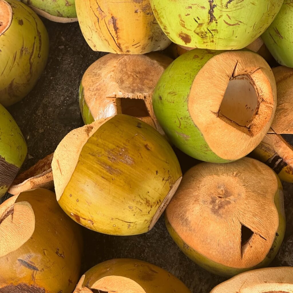 cocnuts at nusa dua beach grill